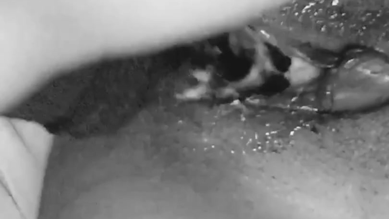 Fucking my tight pussy with a bottle  - Free Sex Video - RedTube