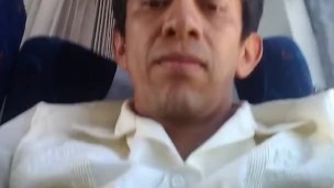 paja en el bus