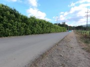 sexo en publico 1/16