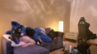 Sucario breed a good puppy - RedTube