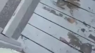 Daddy wanted to Cum outside