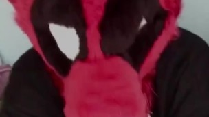 Deadpool Furry wants you for Cuddles & Fun 