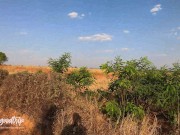 OUR FIRST VID! VERY RISKY PUBLIC FUCK ALONG THE HIGHWAY - HAVEAGOODTRIP 1/16