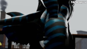 Second Life - The Lewd Shark