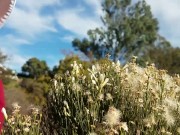 As The Gavel Bangs 8/16