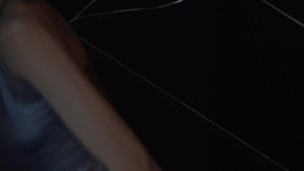 Spider's Sexual Web Temptation