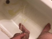 Peeing in the bathtub