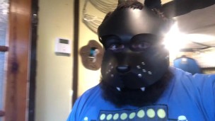 whearpup clip