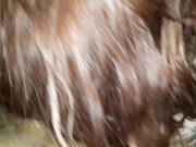 LexLancaster & the 505 escort 1/16