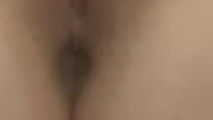 Pussy