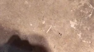 Nice cumshot after school!