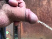 Писаю в подворотне - Screenshot 9 of 16 - Pee