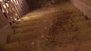 Naughty Pawg Slut Sprays a Powerful Pee Fountain down the steps with a Wet Fart