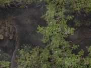 Lust Epidemic - (PT 39) - R.I.P.........shes pregnant now 1/16