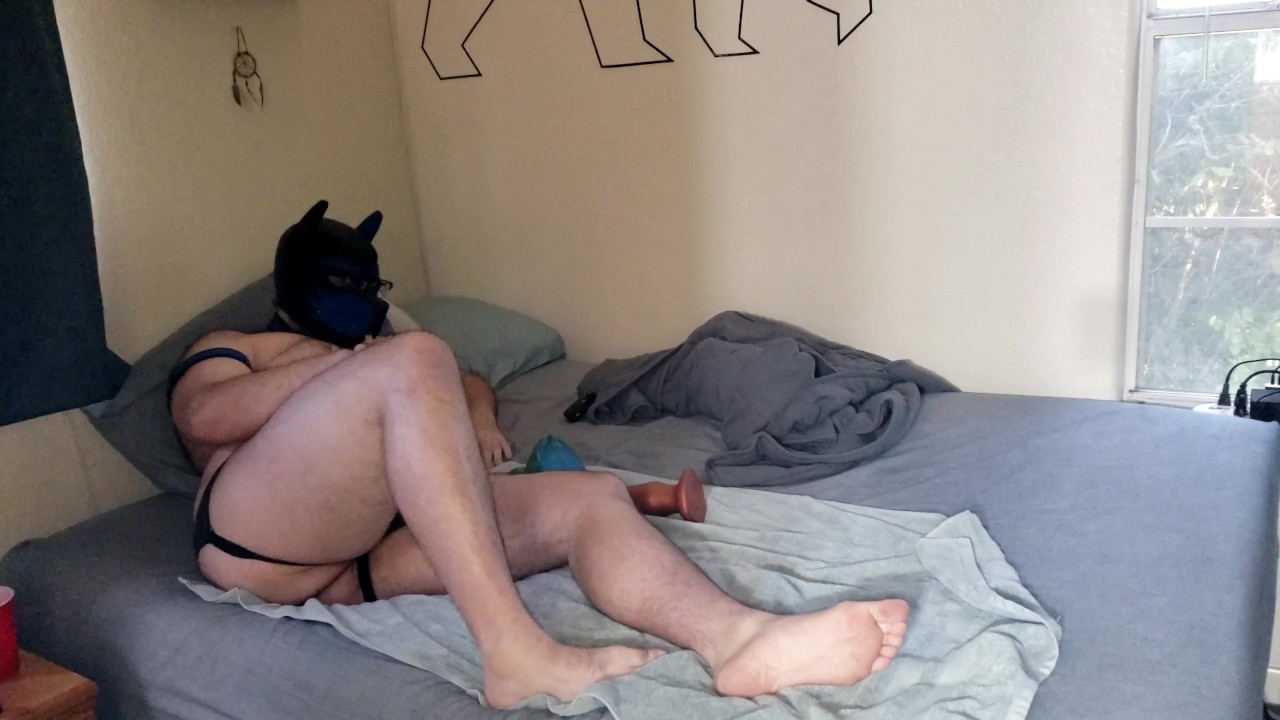 Pup gets knotty - Free Sex Video - RedTube