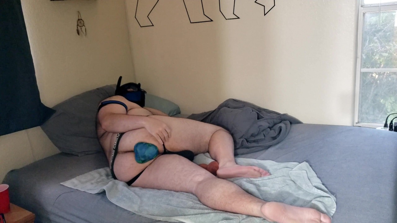 Pup gets knotty - Free Sex Video - RedTube