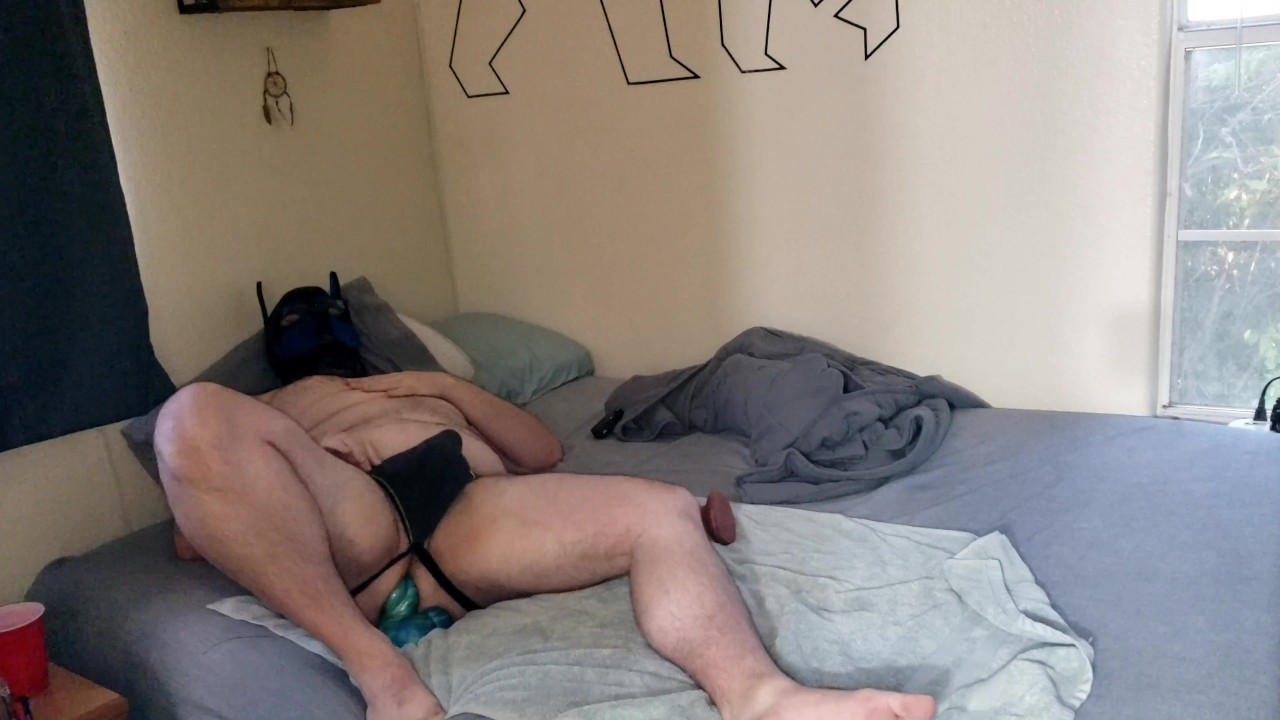 Pup gets knotty - Free Sex Video - RedTube