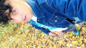 Autumn peeing on dry leaves in a park