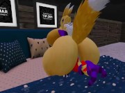 Renamon X Blaziken