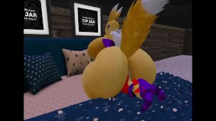 Renamon X Blaziken