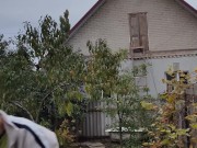 I dig a hole for autumn garbage. 14/16