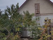 I dig a hole for autumn garbage. 16/16