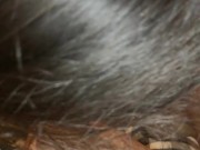 peruvian latina 18 sucks my cock like a whore in abandoned house and spits on him 5/16