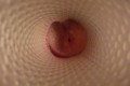 Fucking a Fleshlight! View from inside the sextoy