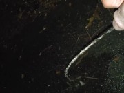 Dick flash bbc