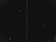 Vault Dweller Gets Used by Raiders Preview 12/16