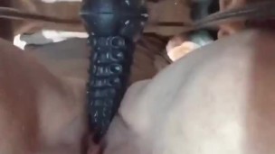 Octopussy