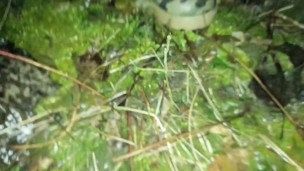 After fuck outdoor twink found broken condom and his ass wet - He cum again on broken condom