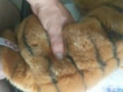 Fucking a stuffed animal