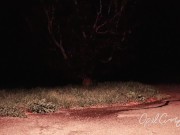 Naughty Pee Slut with Huge Boobs has a powerful Pee Fart standing in the middle of the driveway 14/16