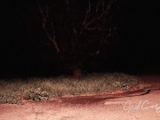 Naughty Pee Slut with Huge Boobs has a powerful Pee Fart standing in the middle of the driveway 15/16