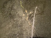 Desperate Pee Girl Sprays her Driveway with multiple huge Pee streams 11/16