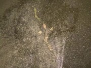 Desperate Pee Girl Sprays her Driveway with multiple huge Pee streams 12/16