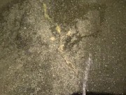 Desperate Pee Girl Sprays her Driveway with multiple huge Pee streams 9/16