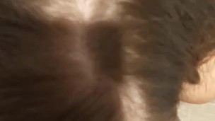 PAWG slut from Tinder makes blowjob POV