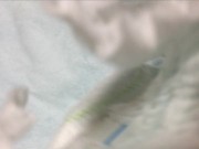009 パンパースにおもらし！だんだんと膨らみます - Screenshot 14 of 16 - Diaper