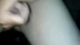 pajaso