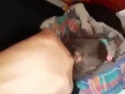 Bunny Gets Banged + Facial  4/16