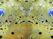 Psychedelic dancing trip - Zedsdead 9/16