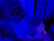 Sloppy top in the blue light 1/16