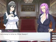 Maid Mansion-02-The Tour 12/16