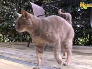 CarneDelMercado - Maria Antonia Alzate Petite Brunette Latina Colombiana Picked Up For Sex 8/16