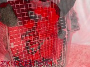 Deluxxx Intro to Groupie Dog Slut Part 2 - fun filthy freebie 13/16