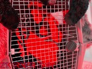 Deluxxx Intro to Groupie Dog Slut Part 2 - fun filthy freebie 14/16