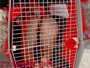 Deluxxx Intro to Groupie Dog Slut Part 2 - fun filthy freebie 5/16