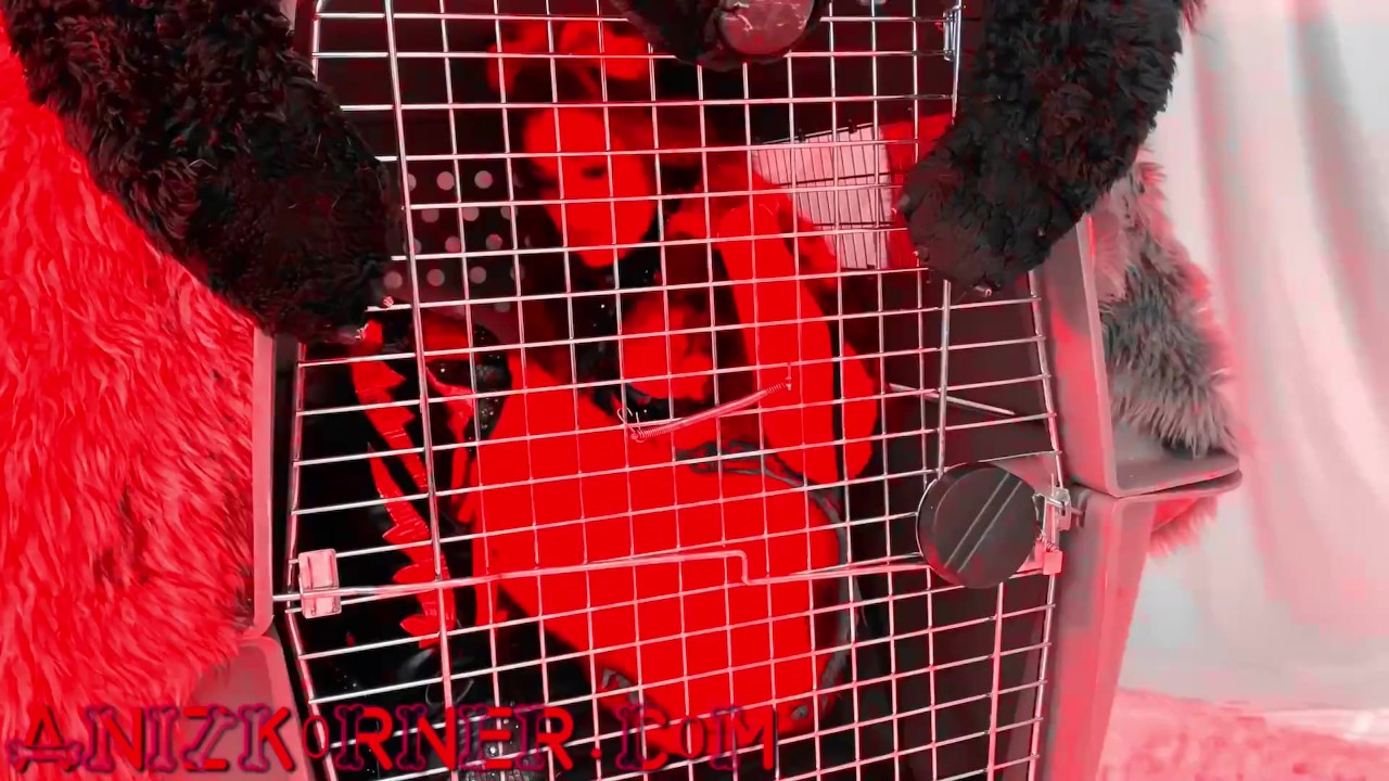 Deluxxx Intro to Groupie Dog Slut Part 2 - fun filthy freebie - Free Sex Video - RedTube